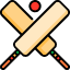 Cricket Bets Icon